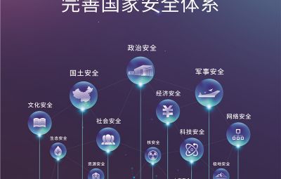 全面貫徹落實(shí)總體國家安全觀